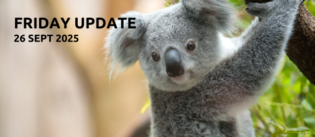 Caho Friday Update